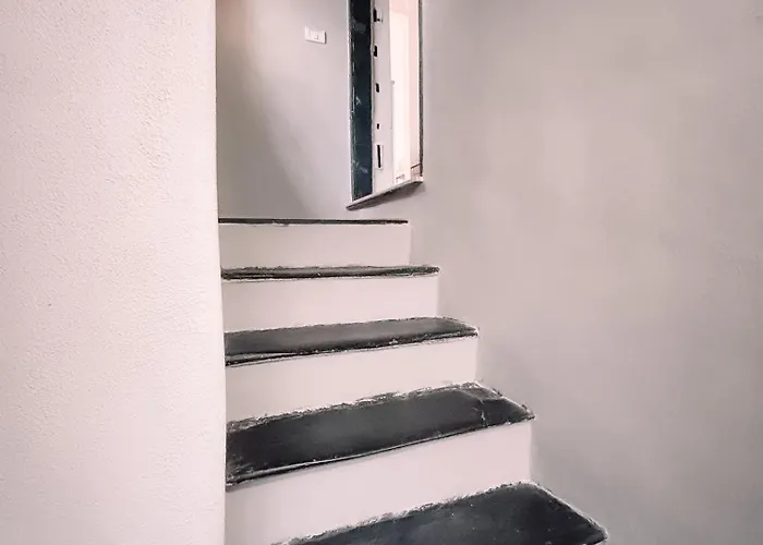 شقة 